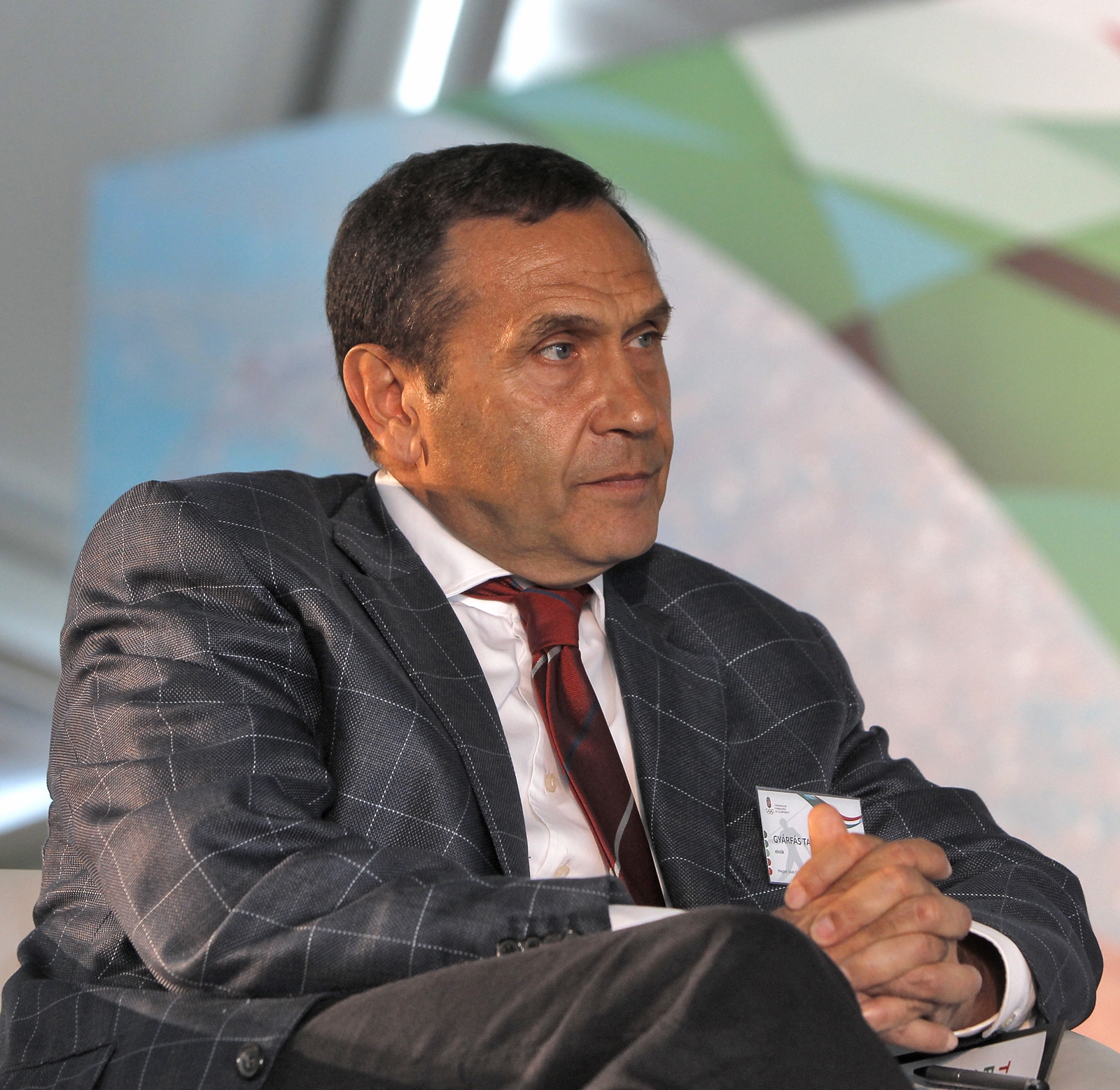 Gyárfás Tamás, a Magyar Úszó Szövetség elnöke, az Olimpiai Védnöki Testület tagja