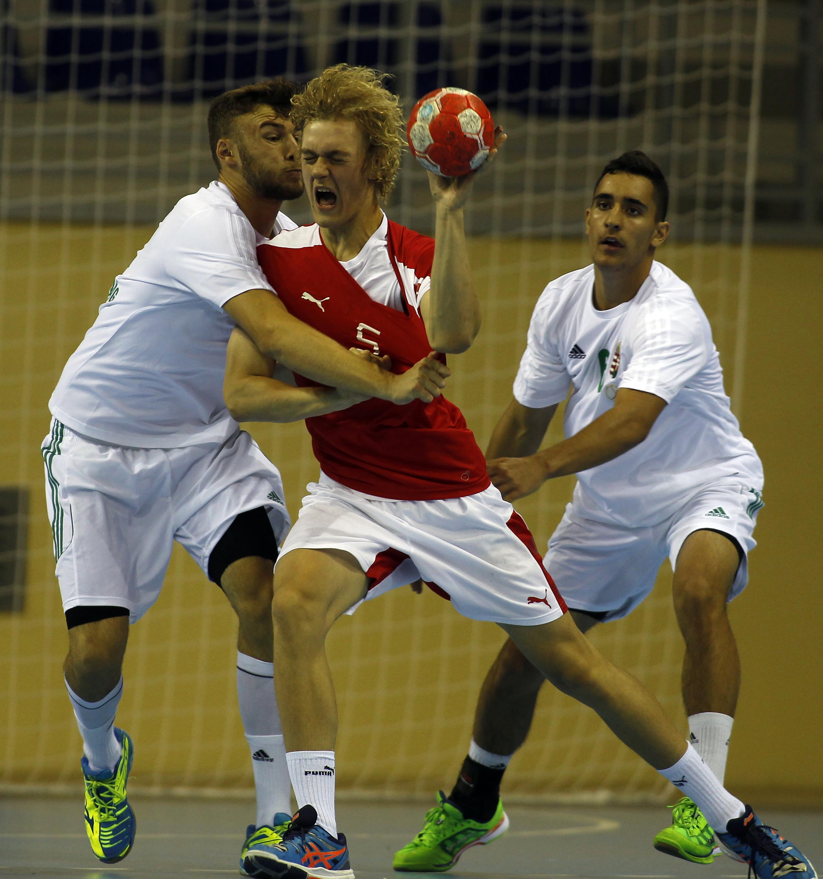 Védekezés a dánok ellen