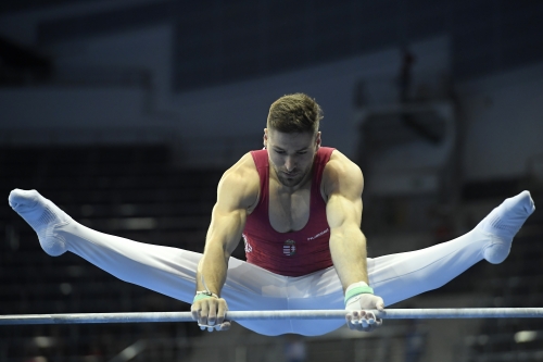 10.nap (Birkózás,Torna, Karate)